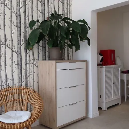 Dacha Guest house *