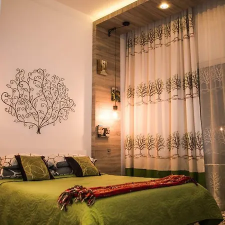 Dacha Guest house *