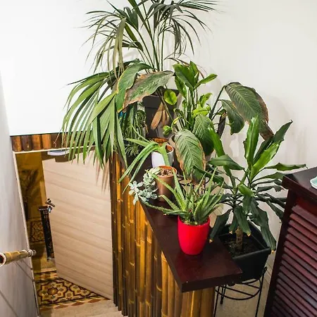 Dacha 4* Sliema
