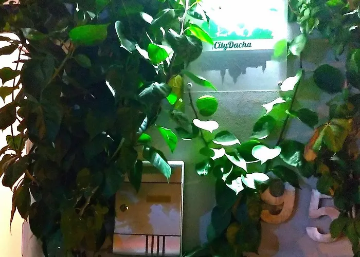 Dacha Maison d'hôtes Sliema